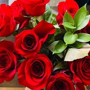 Meet your Posher, Paula